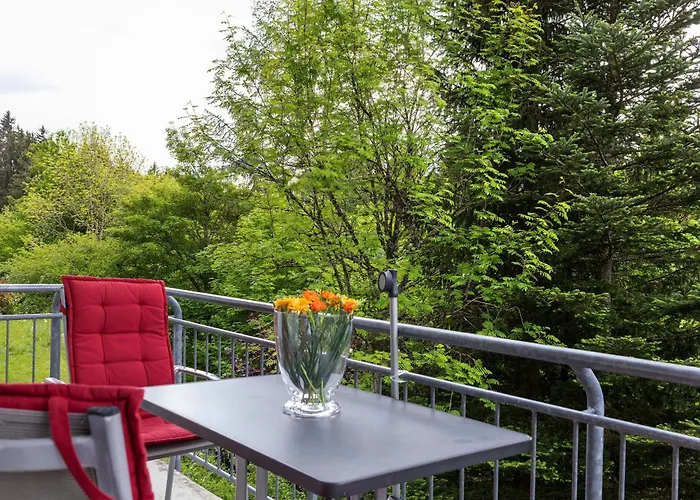 Tannenblick 7-1 Daire *